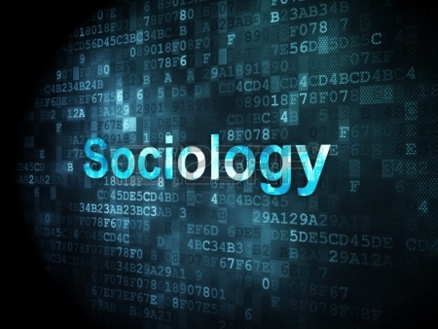 Exploring Society: Top Universities For Sociology